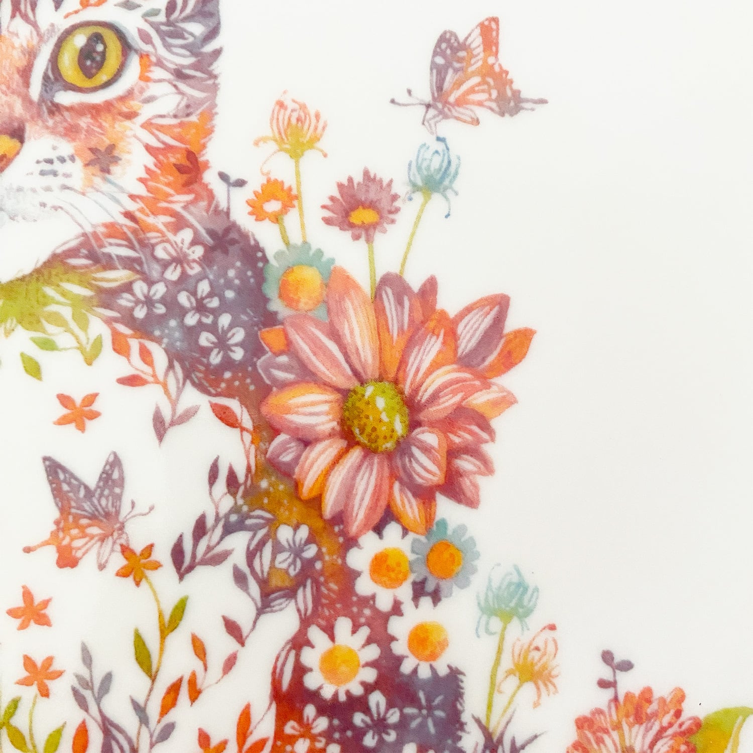 TAKEDA HIROKI】タケダヒロキ 九谷焼8寸プレート -花ネコ- | bpbp