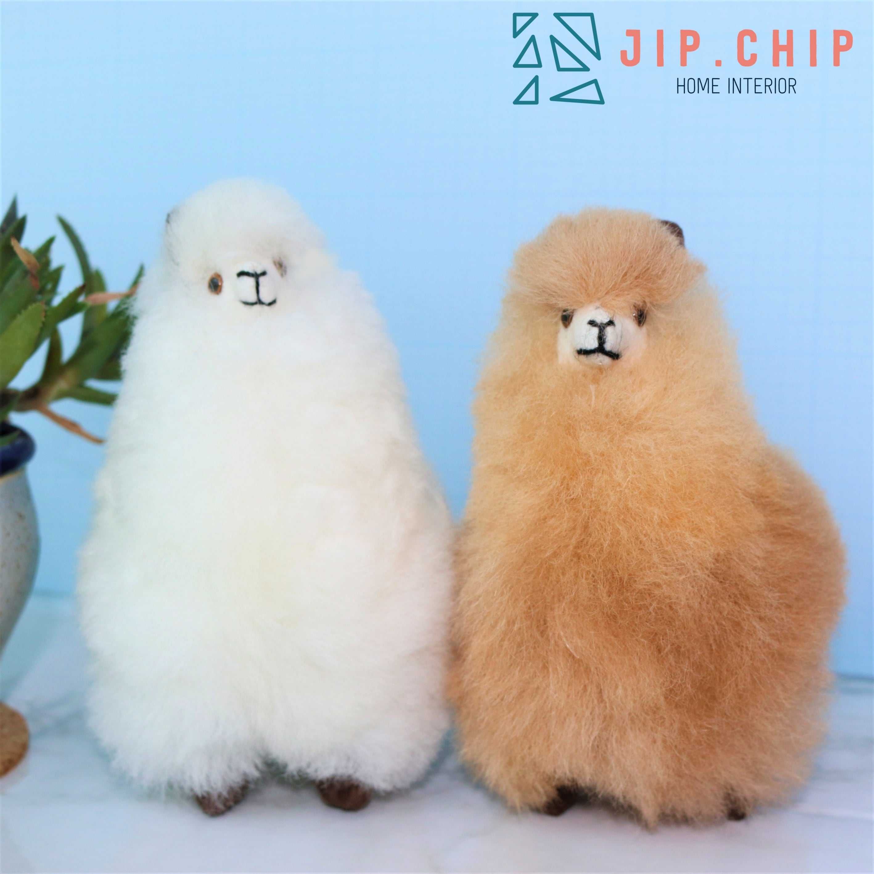 eacf3a44050b372637552025ee1e1e