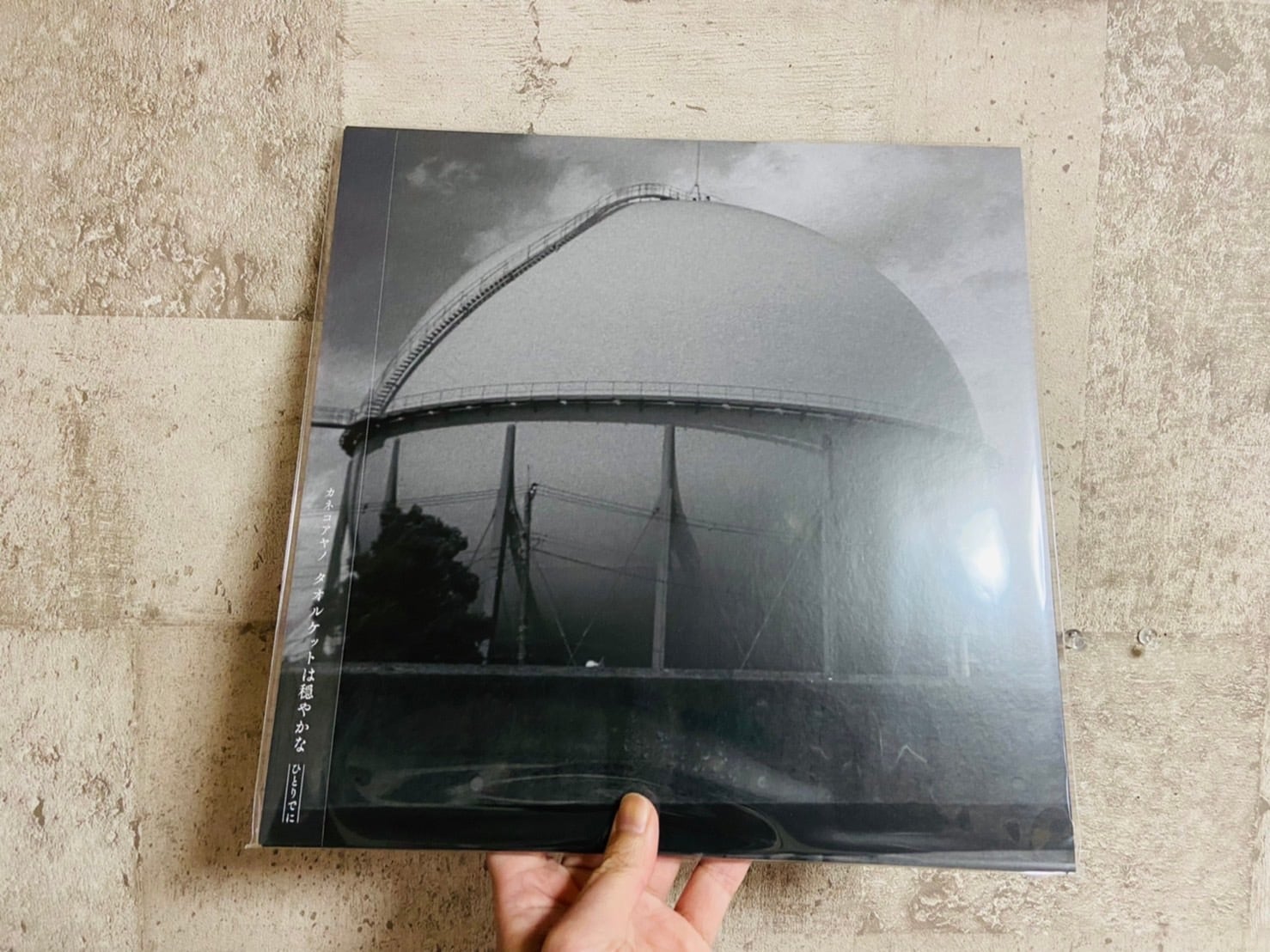 カネコアヤノ タオルケットは穏やかな レコード 【公式通販】