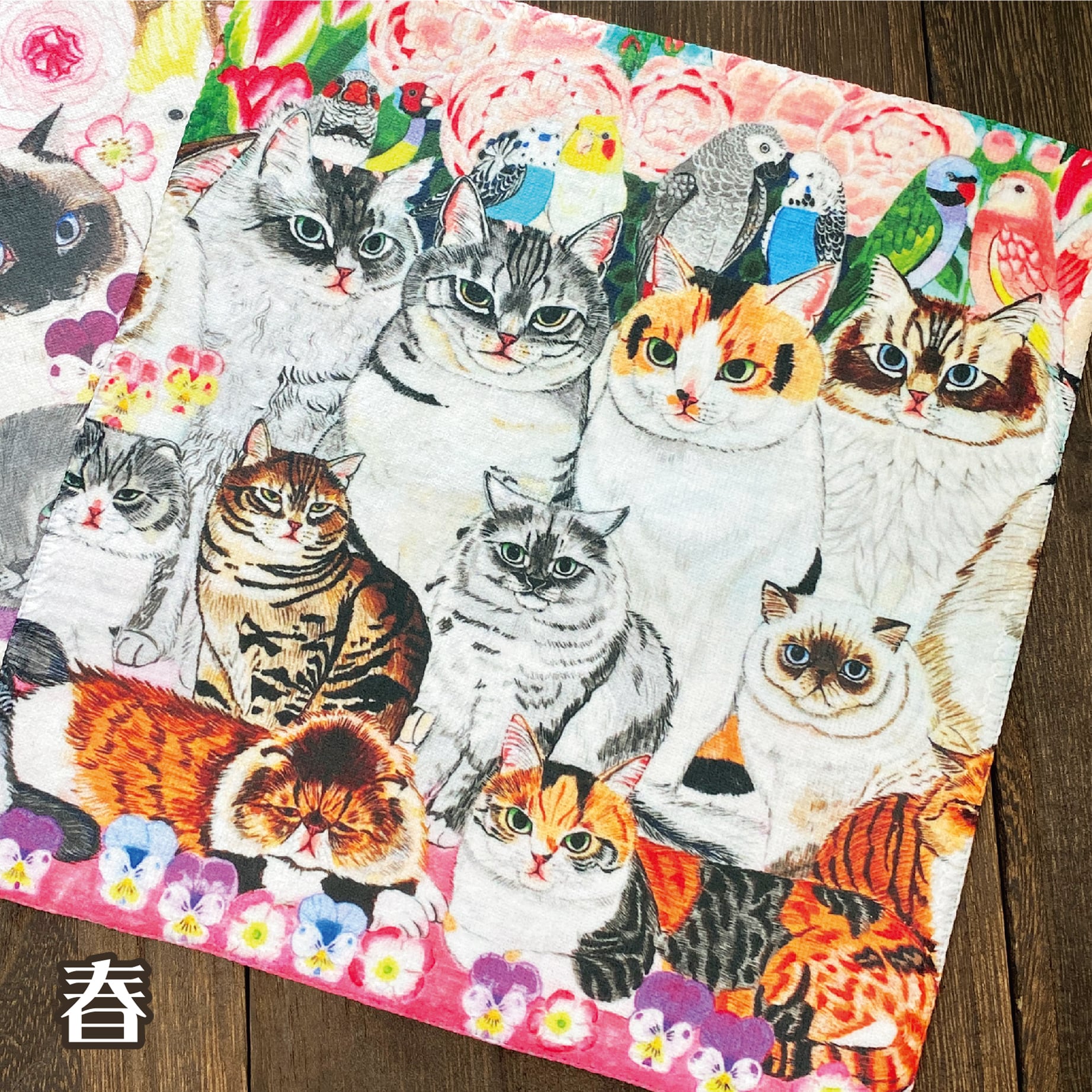 金田花季 | もんしゃみにおん【ねこ作家の雑貨店】