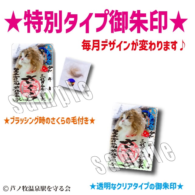 2026年2月(限定デザイン)特別タイプ御朱印 | Station Master Cat