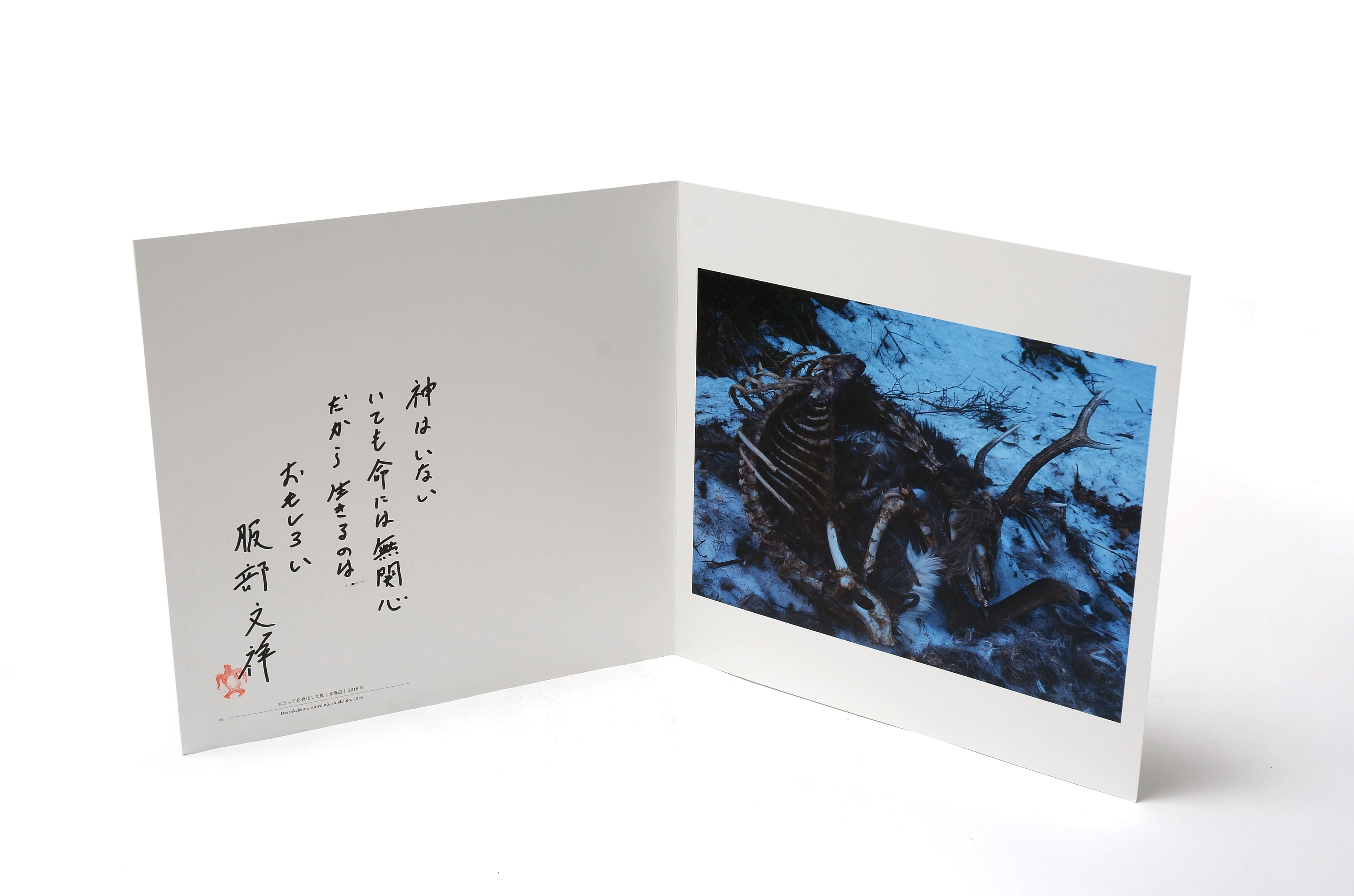 写真集『いのちのうちがわ』 写真・文／石川竜一 | アウトドア専門誌