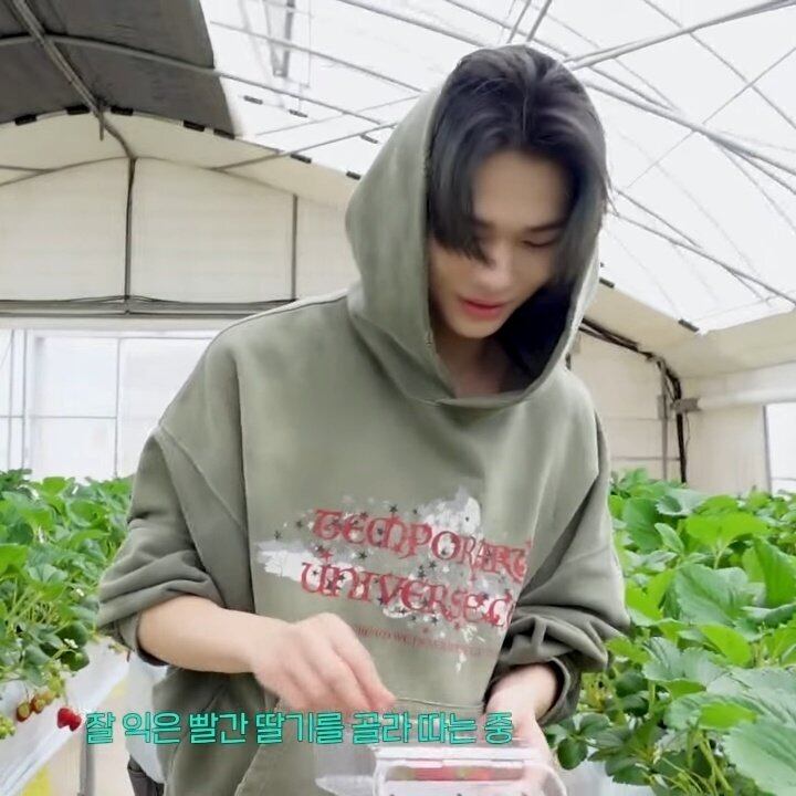 ☆ENHYPEN ニキ 着用！！【TEMPORARY UNIVERSE】Garment Dyed Vintage