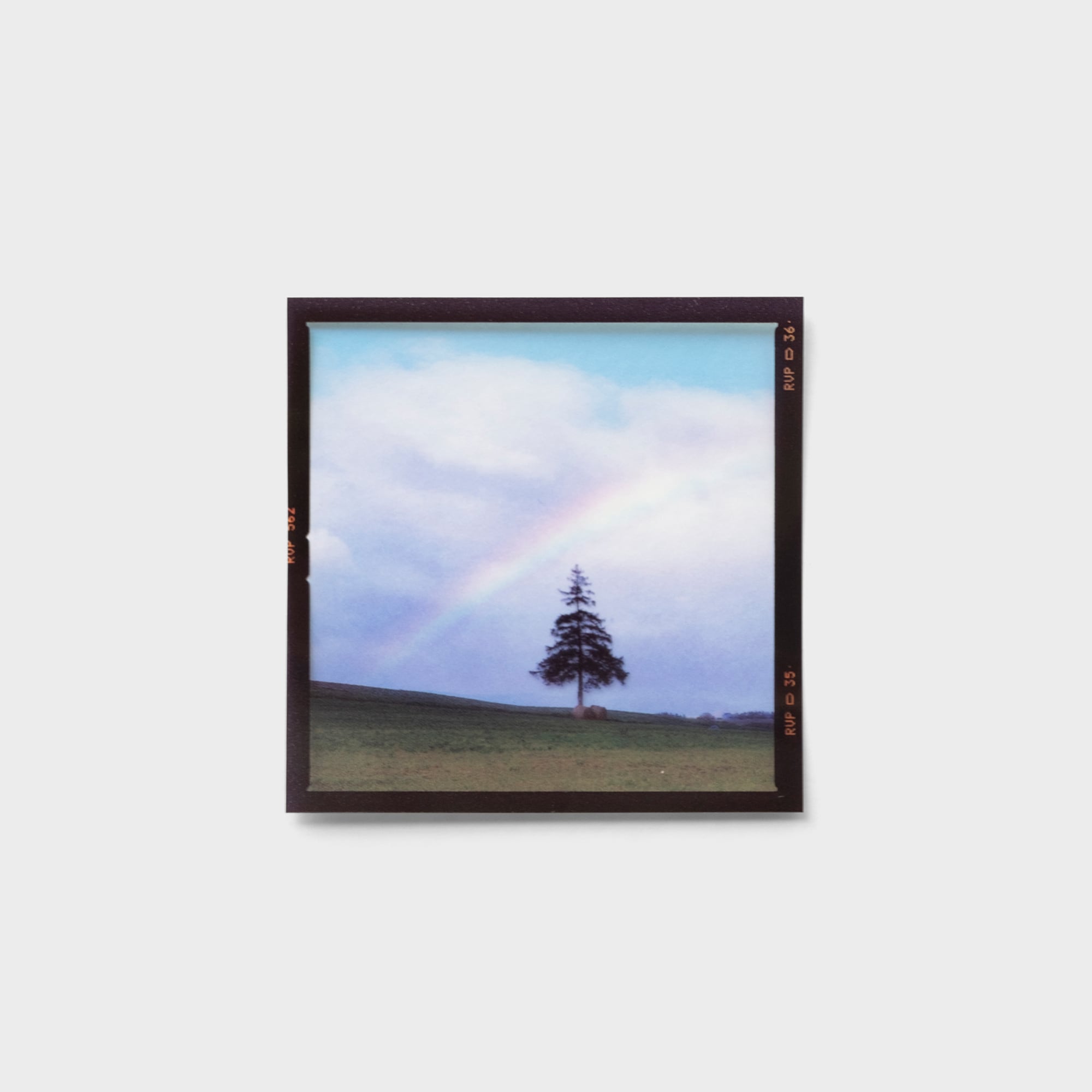 6×6フィルムステッカーD〈6枚セット〉 | 拓真館 TAKUSHINKAN