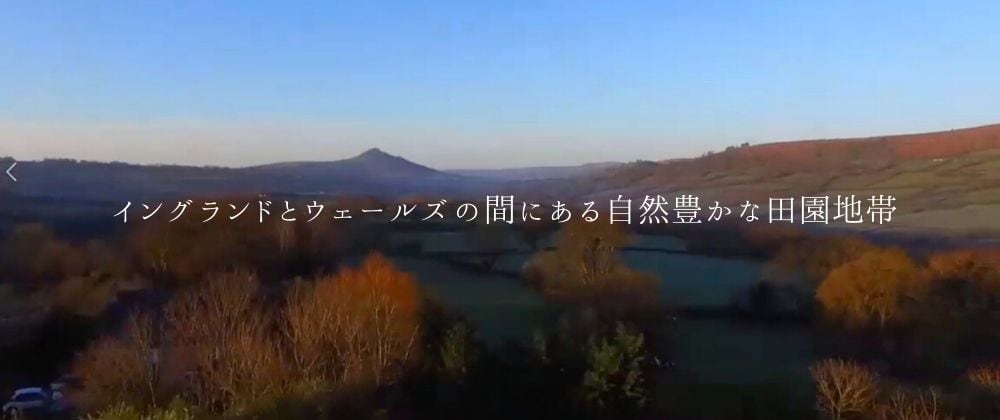 マイキ ヒーリングハーブス・フラワーエッセンス