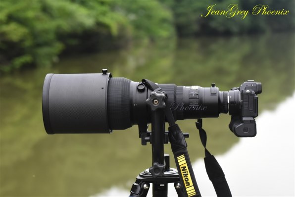 ニコン D750 ボディで撮影された写真 - 価格.com