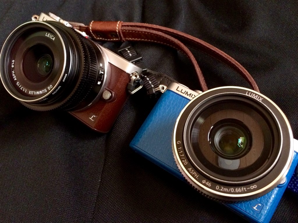 色について』 パナソニック LUMIX DMC-GM1SK レンズキット のクチコミ