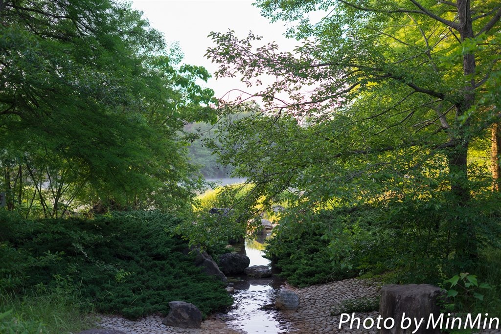 FE 50mm F1.8で撮った 写真作例 色いろいろ』 SONY FE 50mm F1.8