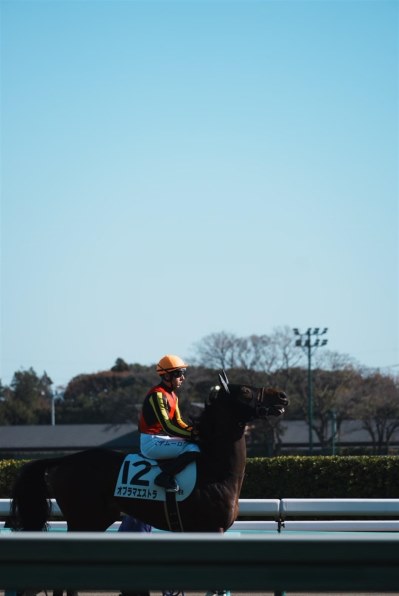 SONY E 70-350mm F4.5-6.3 G OSS SEL70350Gのクチコミ - 価格.com