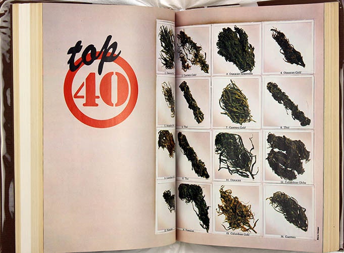 HIGH TIMES ENCYCLOPEDIA OF RECREATIONAL DRUGS