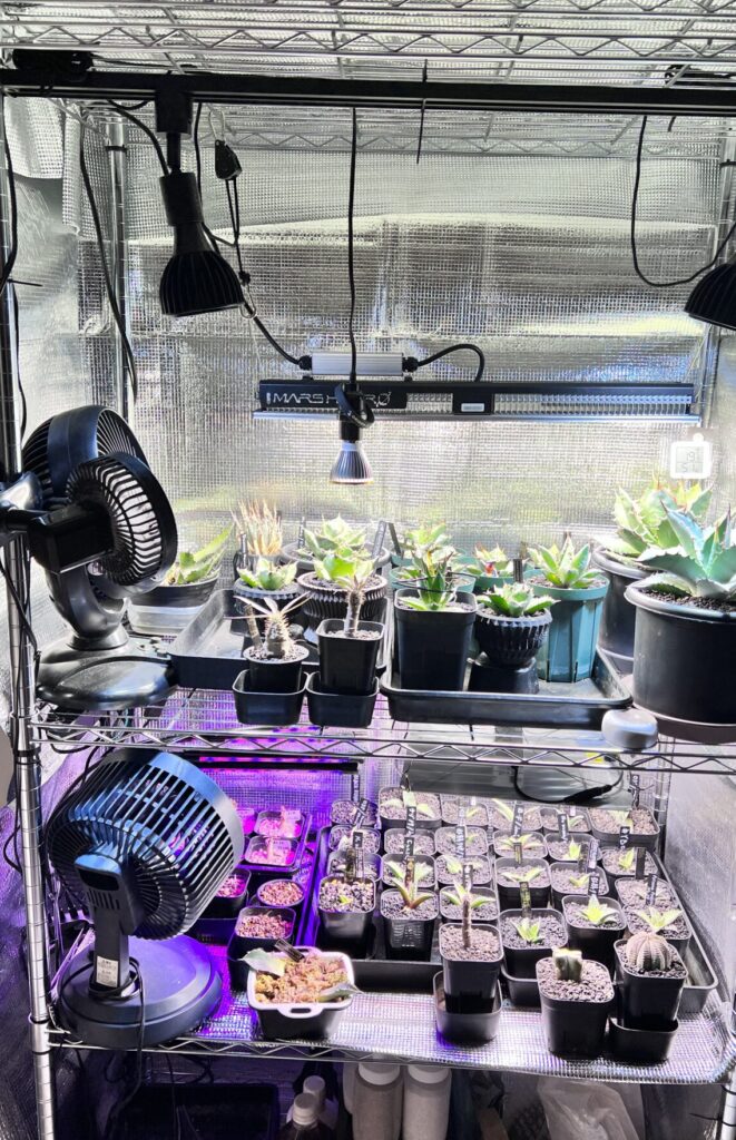 決定版：アガベ育成用サーキュレーター まとめ | BEAT GARDEN 〜Agave