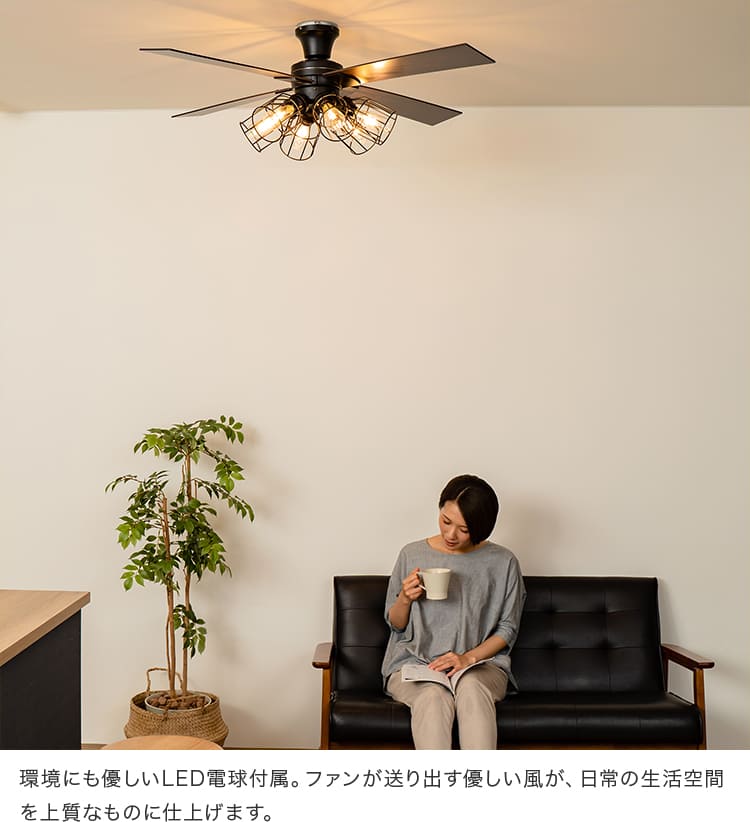 Modern Collection シーリングファン フィラメントLED 6灯 – BeauBelle本店