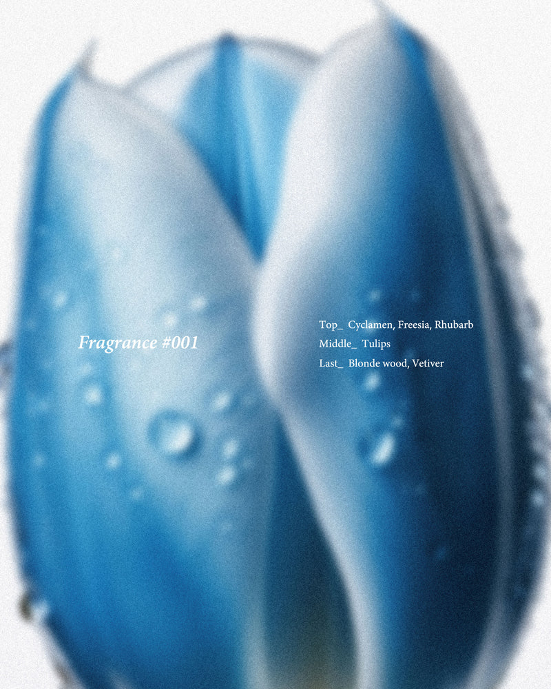 Fragrance #001｜BED j.w. FORD