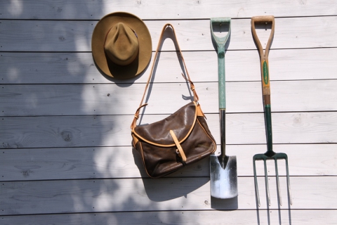 PICCINO ［ピッチーノ］ | ブランド | べっぴん店