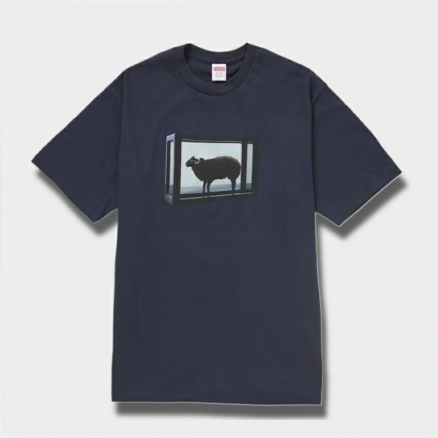 Supreme シュプリーム 2025SS Damien Hirst tee ダミアンハーストT