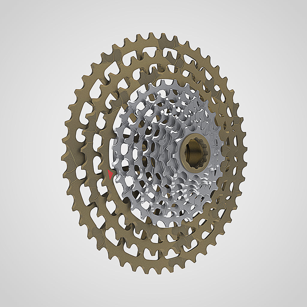 INGRID 46T10 11 Speed Cassette – BiciclistaUS