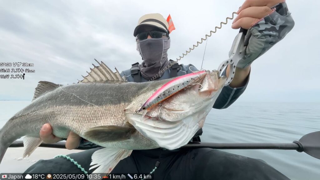 BIFS-66L MultiEffector 予約開始 | news | bifarr