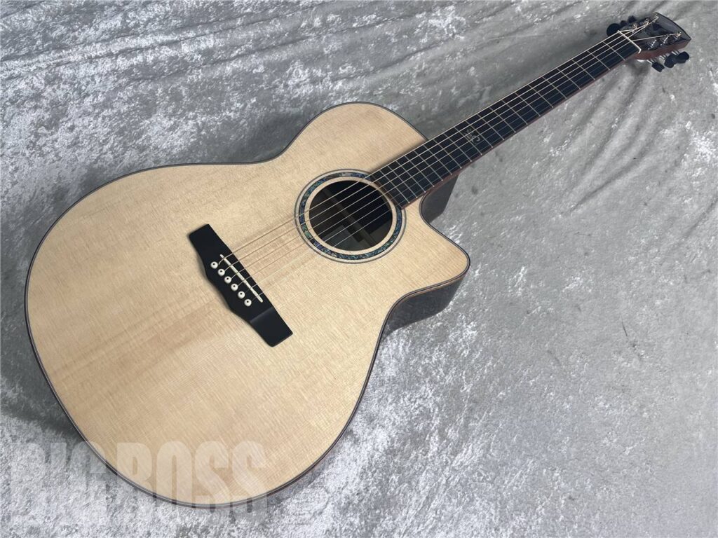 Morris Acoustic guitar 特集 = Made in Japan / Hand Made Premium