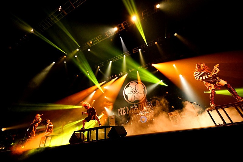 NEMOPHILA、4周年ワンマンライブのレポート到着 | Daily News