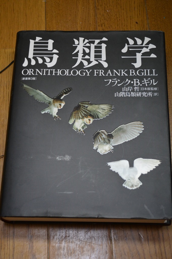 ぼうぼう工房 鳥類学