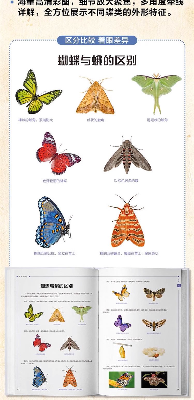 蝴蝶軽図鑑（蝶々と蛾類239種を収録）／JCCBOOK中国書籍ネットショップ