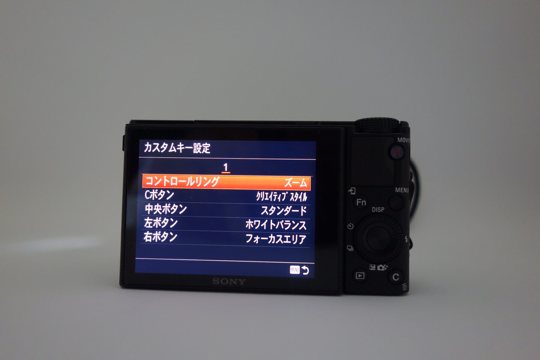 SONY RX100M3はいつまでも使いたいと思うほど良いカメラ | USEFUL FOR LIFE
