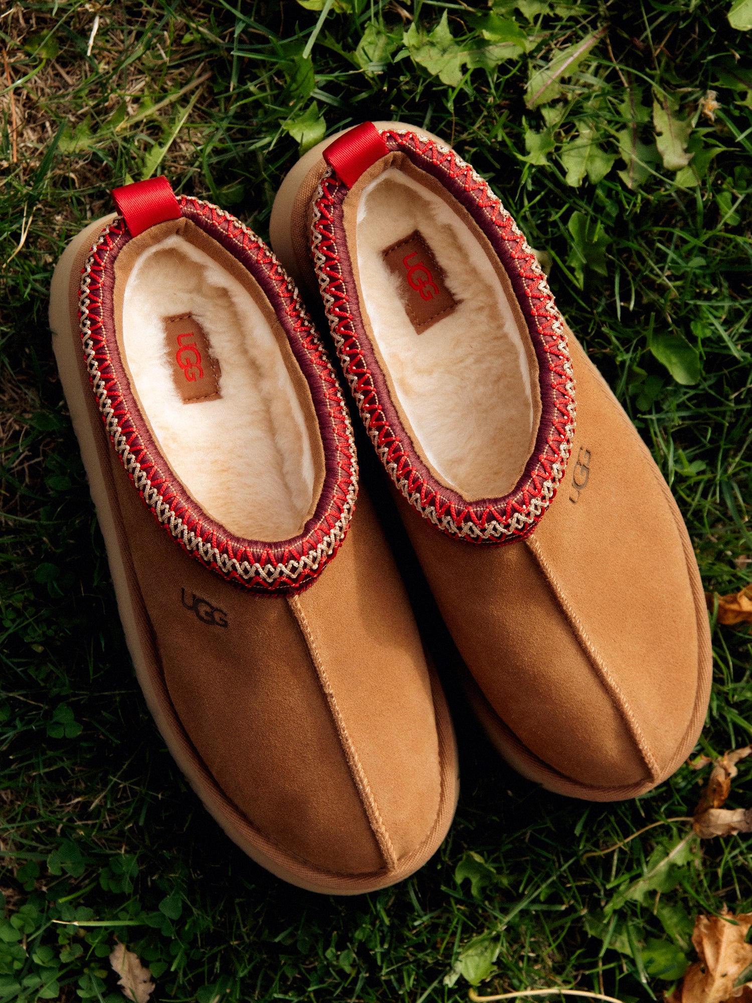 WOMENS UGG TAZZ - CHESTNUT