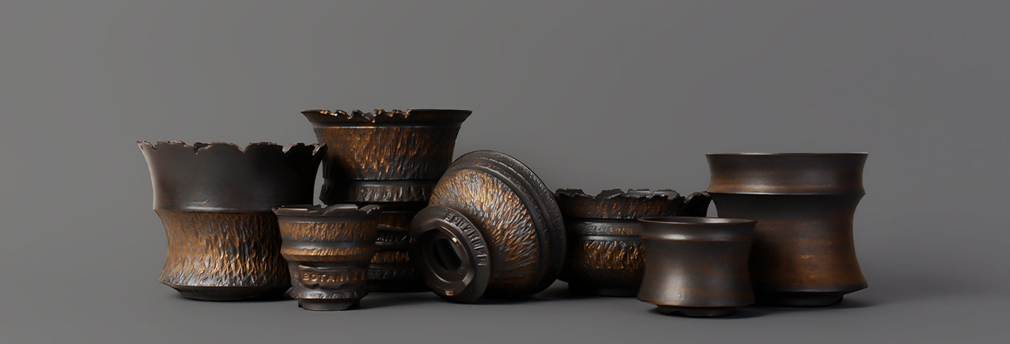 botanize.jp – BOTANIZE