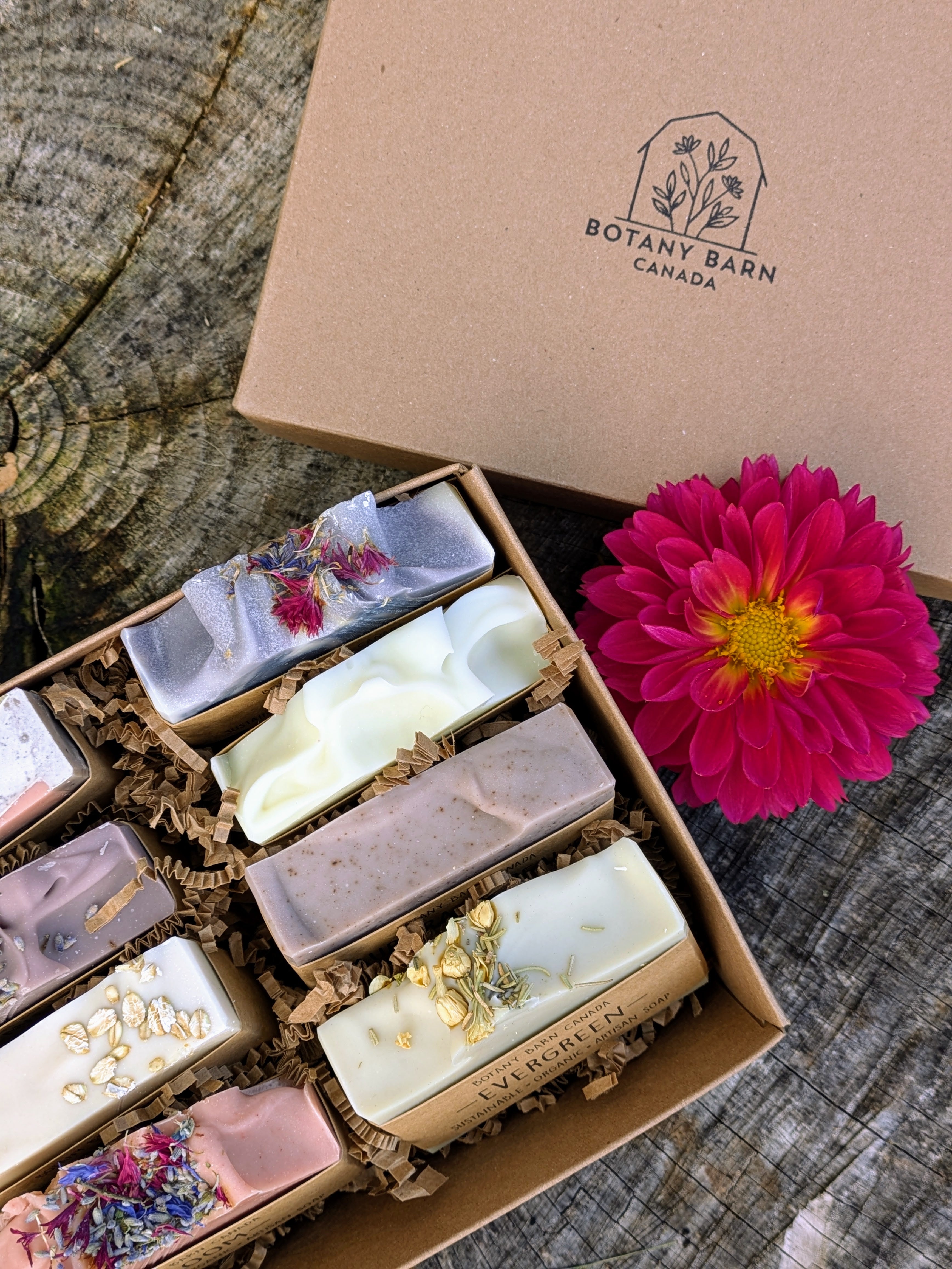 Natural Soaps | Gift Set of Eight Organic Artisan Soaps – Botany