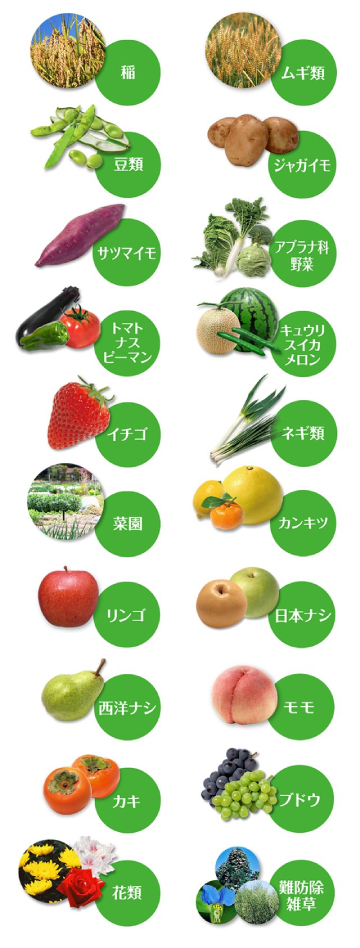 農業害虫や病害の防除・農薬情報｜病害虫・雑草の情報基地｜全国農村