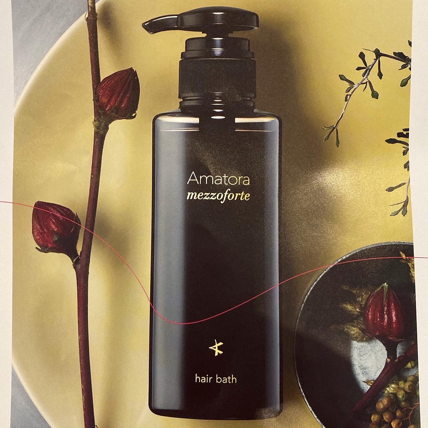 12/25まで限定アマトラメゾフォルテ ヘアバス S＆レスキューパック S