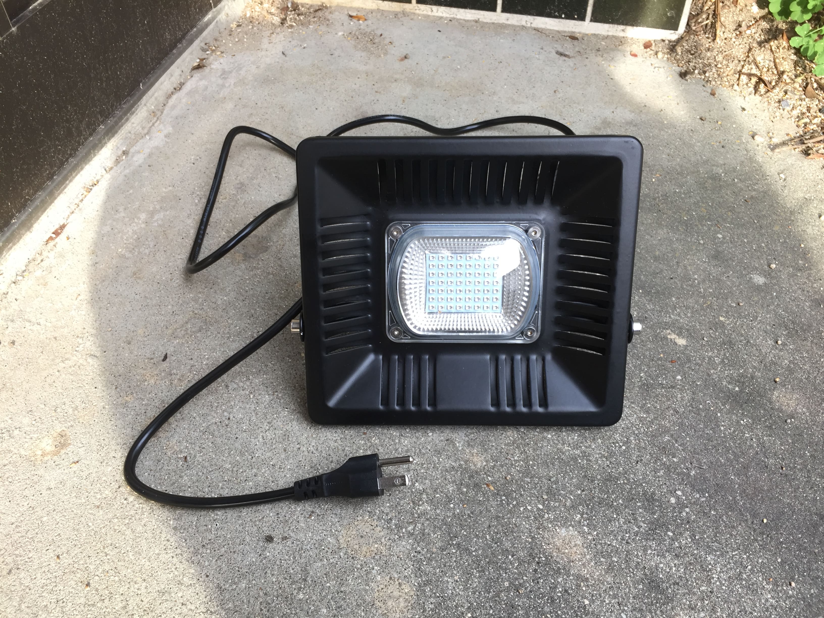 ライトトラップについて② | ふわもち昆虫日記