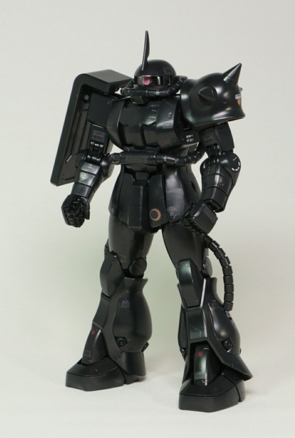 ジオン公国軍 指揮官用モビルスーツ MG 1/100 MS-06LS LUNA SEA専用
