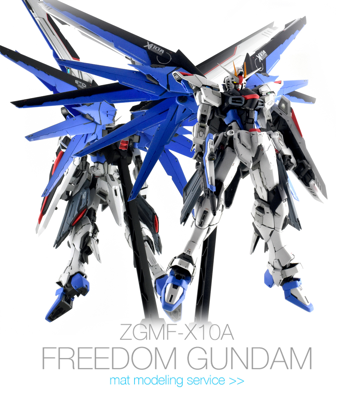 MG フリーダムガンダム ver 2.0 MG フリーダムガンダム Ver.2.0