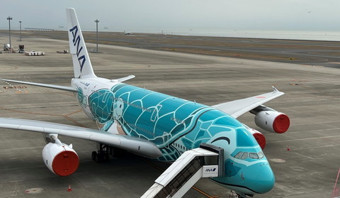 A380 フライングホヌ。エメラルドグリーンのカイくん - 常滑市議会議員