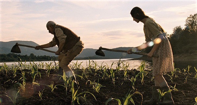 映画「とうもろこしの島」(ジョージア) 監督：ギオルギ・オバシュビリ