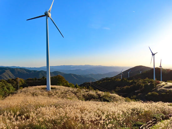 巨大風車群とススキが輝く大船山の上矢作風力発電所（R418・平谷峠