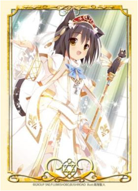 スリーブ】マット仕様スリーブ「ブシロードヴィジュアルスリーブ