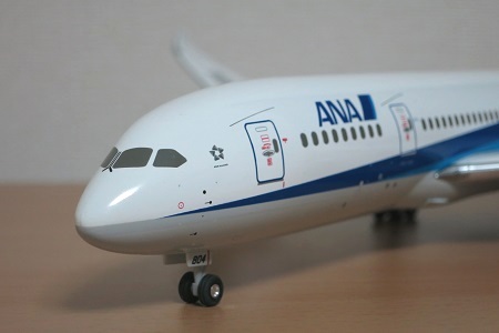 ANA B787-8 通常塗装機（JA804A・暫定国内仕様機） - Neko Transport
