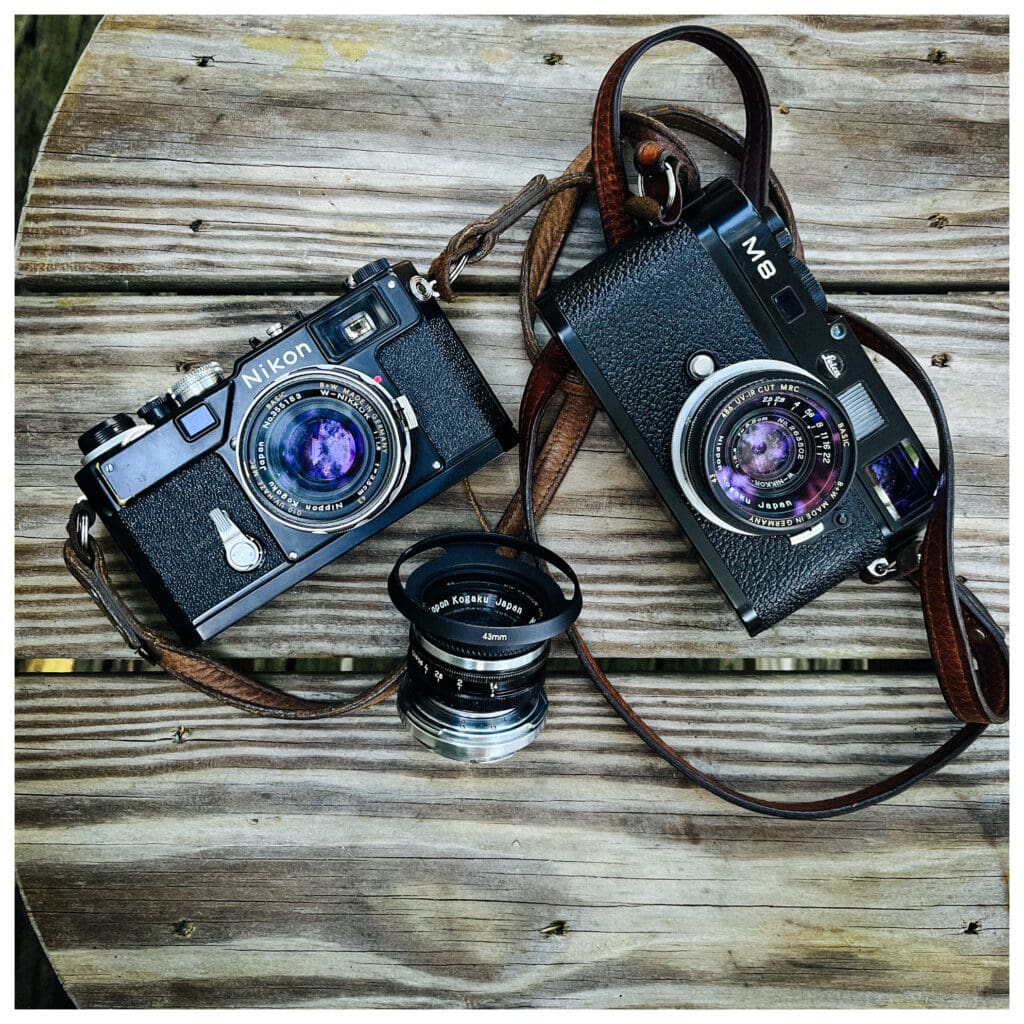 Digital Dinosaur, Leica M8.2 - basearts.com