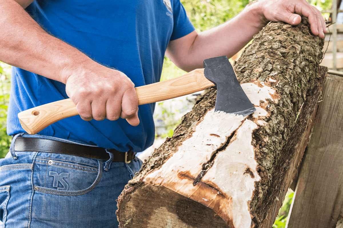 Green Woodworking Tools Buying Guide - Woodworking Wisdom