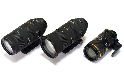 SIGMA APO 50-500mm F4.5-6.3 DG OS HSM – 酔人日月抄