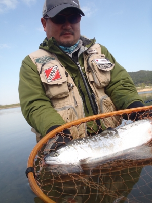 もう1つのサクラマスモデル Rayz Spectra RZS82M (Pluggin&apos