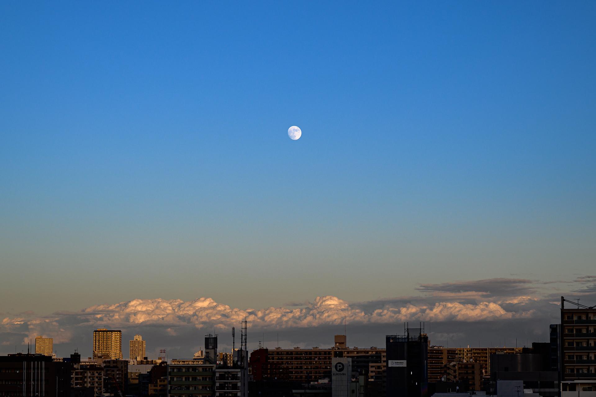 Nikon Z 5 + NIKKOR Z 24-200mm F4-6.3 VR でいろいろ初撮り – 酔人日