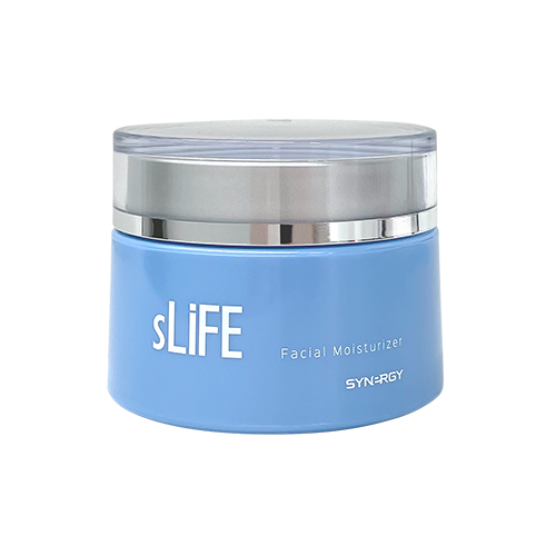 2024 - シナジーワールドワイド ビジネスブログ