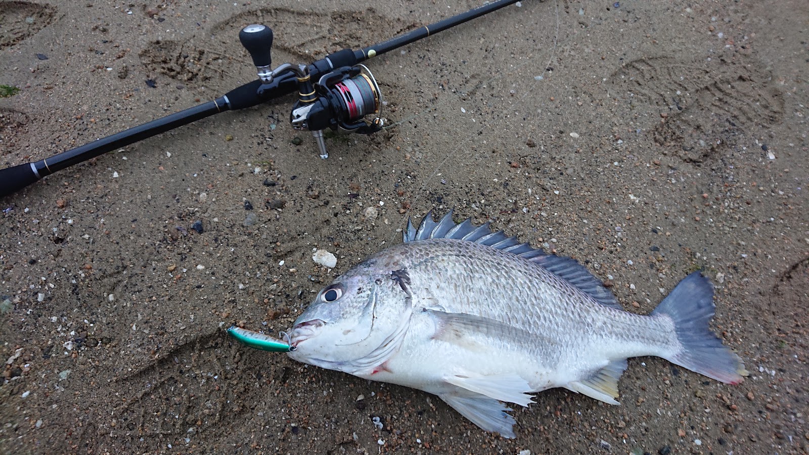 ヤマガブランクス ブルーカレント 93/TZ NANO All-Range の長期使用