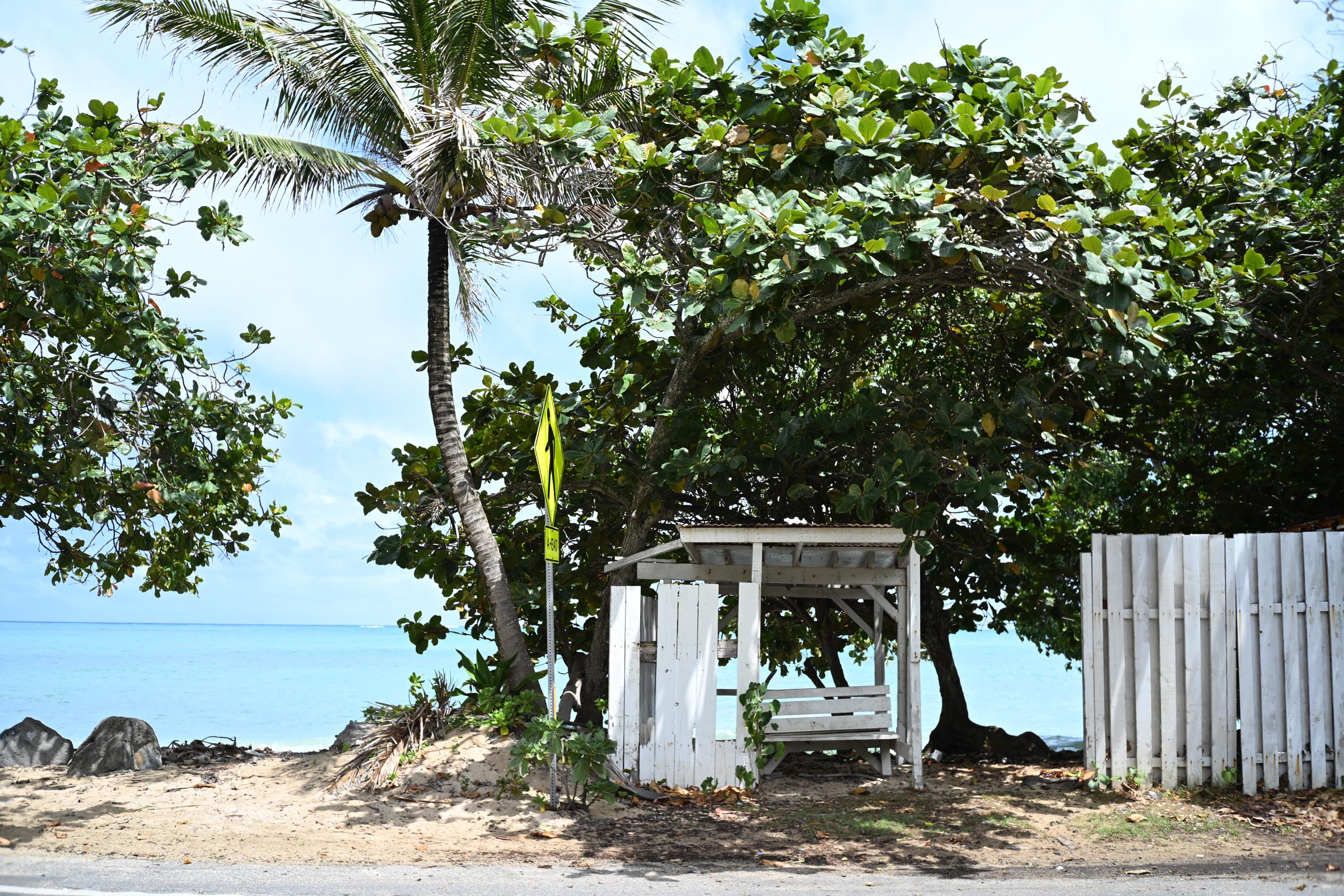 M42 MOUNT SPIRAL: Kowa Optical Works PROMINAR 35mm F2.8