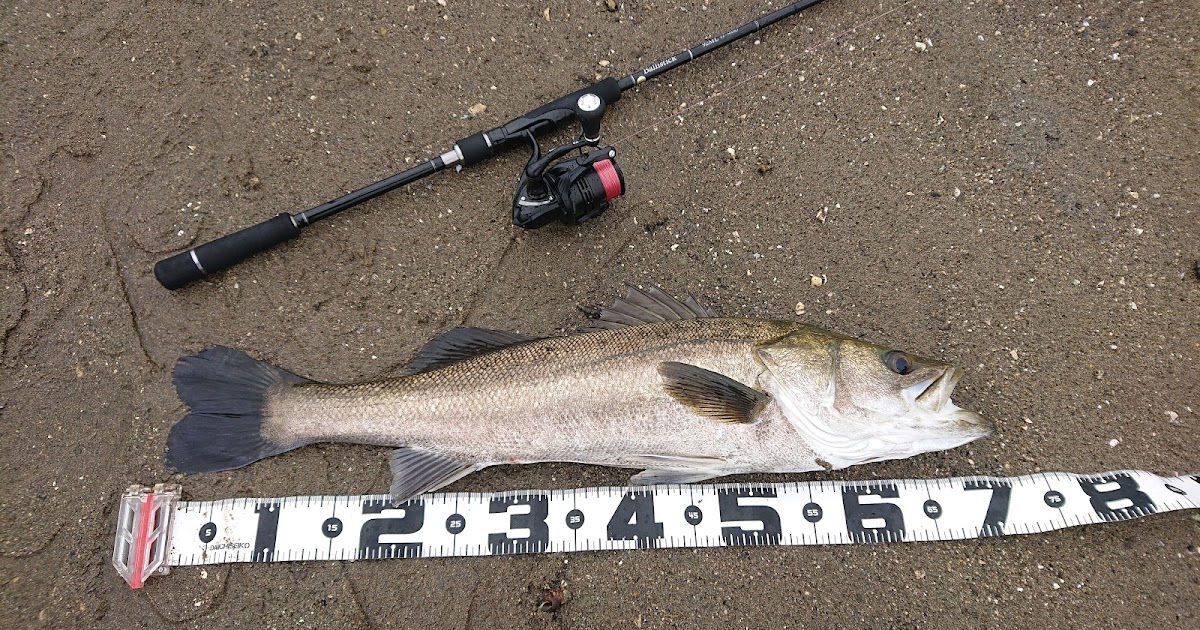 ロッドについて ヤマガブランクス バリスティック92ML TZ/NANO の実釣