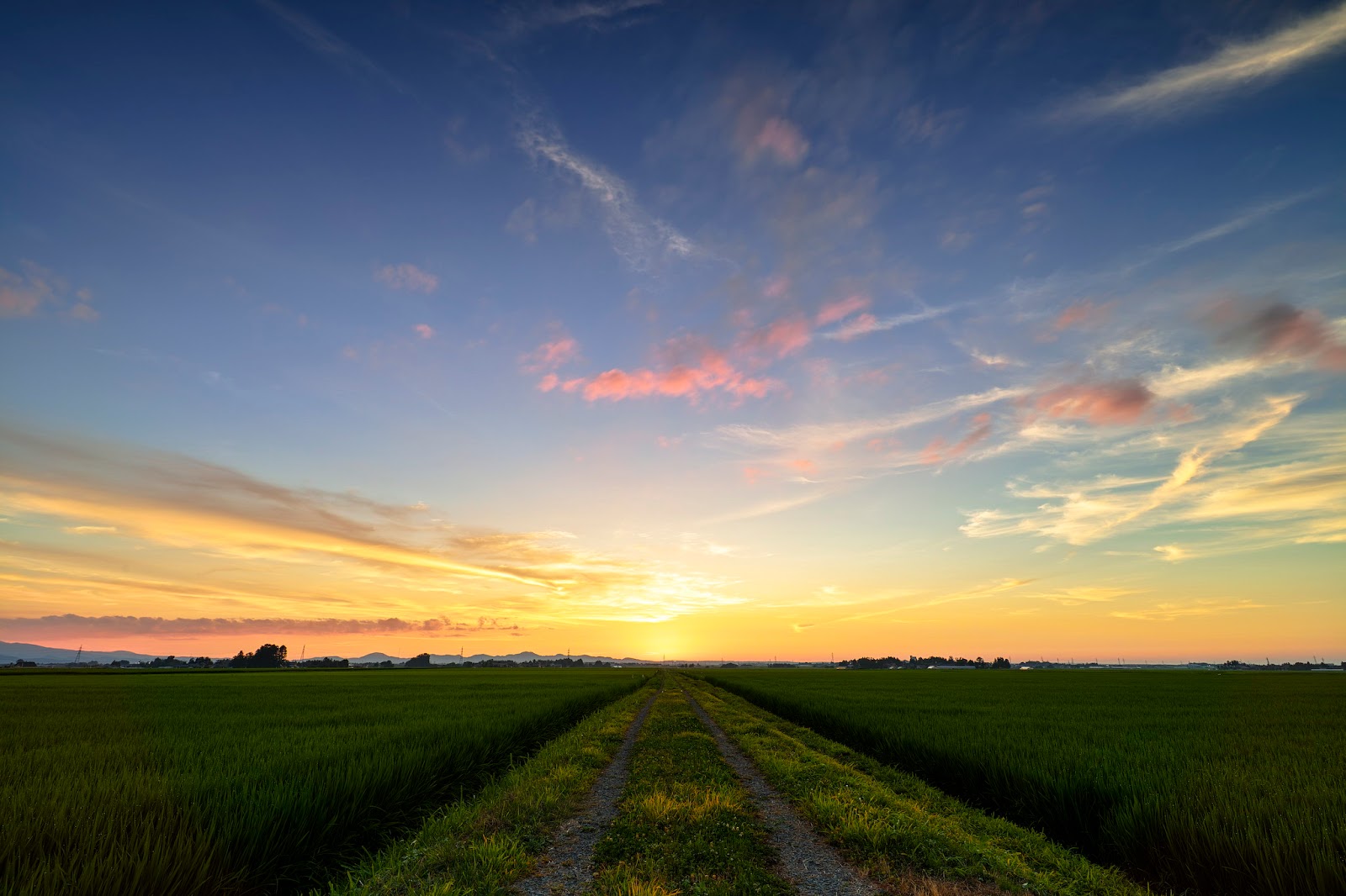 夕焼けの畦道 / Sunset Road | リョータログ