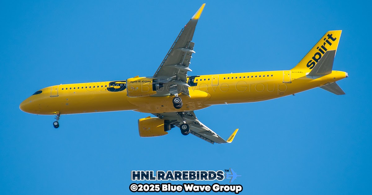 HNL RareBirds™: N334AL